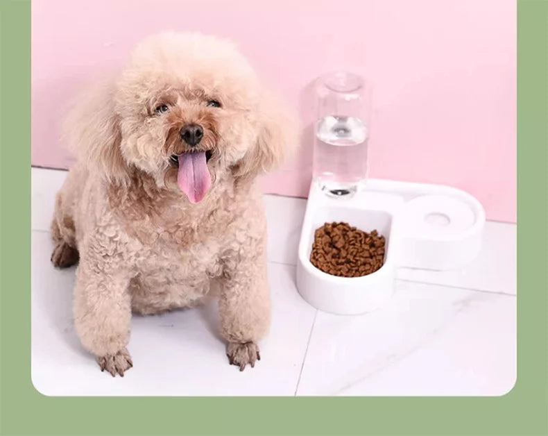 Heart Shaped Automatic Water Refill Food/Water Bowl.