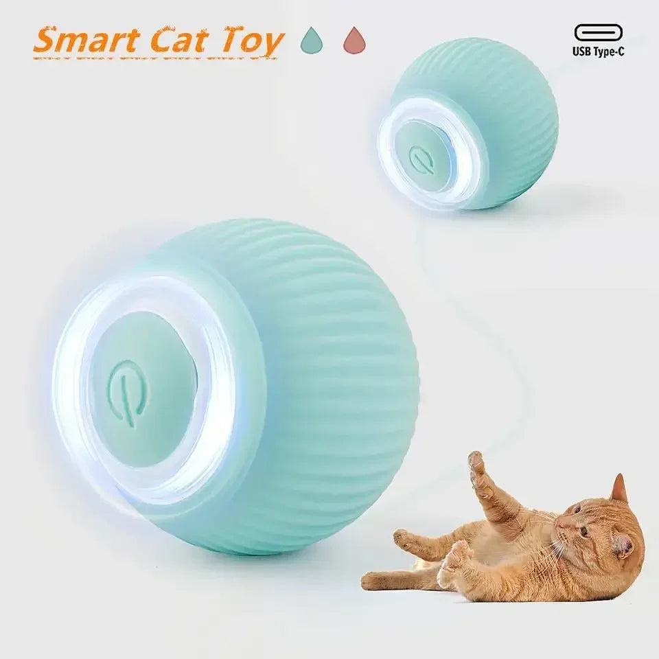 Self-moving Rolling Ball for Kittens